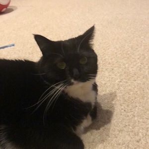 Meet your Posher, Angie